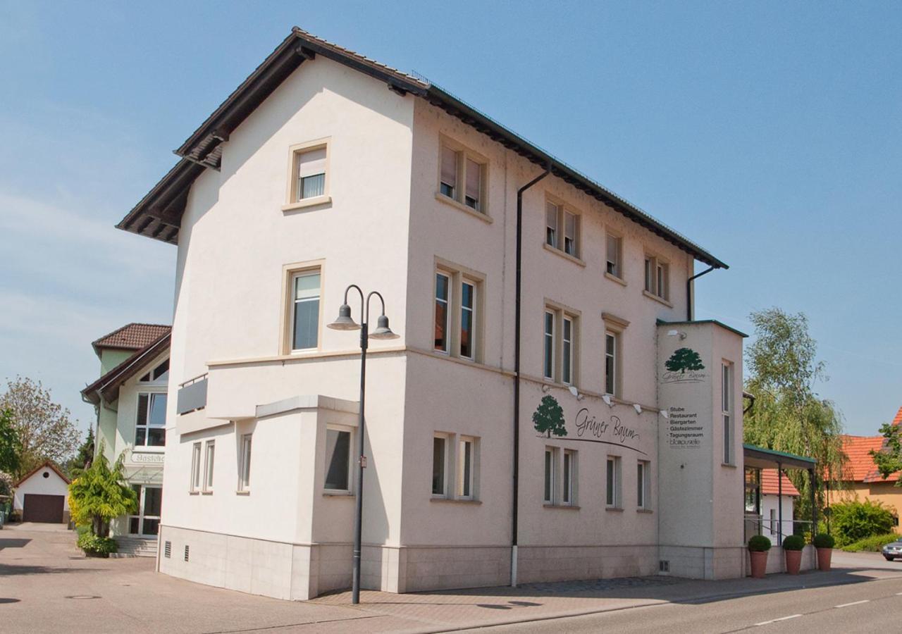 Der Gruene Baum Hotel Sinsheim Buitenkant foto